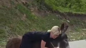 В Дагестане проверят туристку после домогание к ослицы