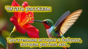 Читать рассказы: трогательная история о бабушке, которая растила нас | Домохозяйка