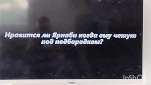 ДОКТОР ХАРЛИ СОЙЕР? БЛЭК ВКЛЮЧИЛ ТЕЛЕВИЗОР В МЯГКИЕ ИГРУШКИ 1 🔥🔥🔥