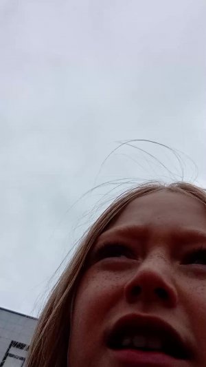 ноябрь