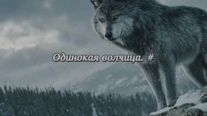 Одинокая волчица. #