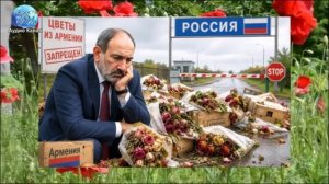 «Дружба дружбой, а служба службой»: Пашинян начал истерить из-за запрета армянских цветов в России