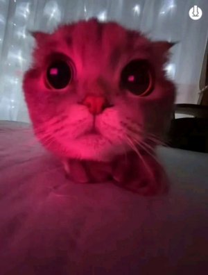крутышки