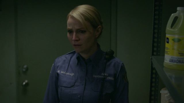 Оранжевый — хит сезона 7 сезон 11 серия «Боже, благослови Америку» (сериал, 2019)