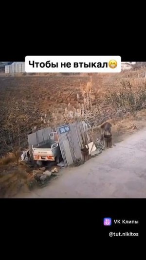 vkclips_20260520090205