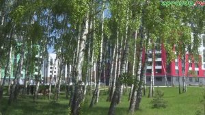 Новости Зеленодольска 22.05.2026