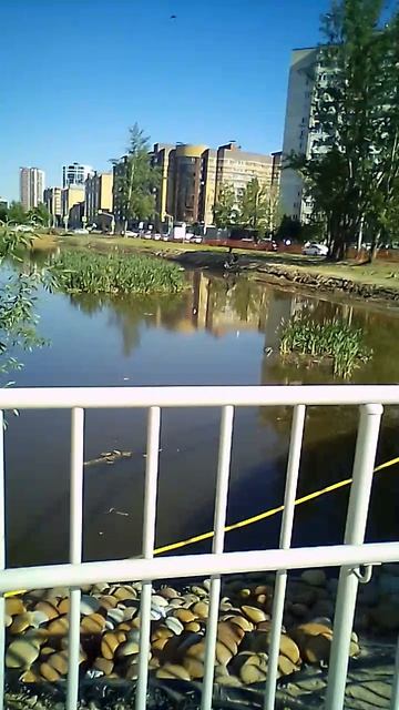 VID_20260522_160604 смотреть онлайн