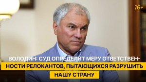 Володин: суд определит меру ответственности релокантов, пытающихся разрушить нашу страну