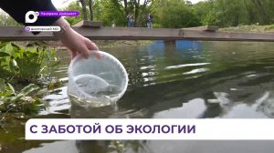 ДГК выпускает в реку Шкотовка очередную партию мальков красной рыбы