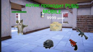 котик проходит PUBG MOBILE