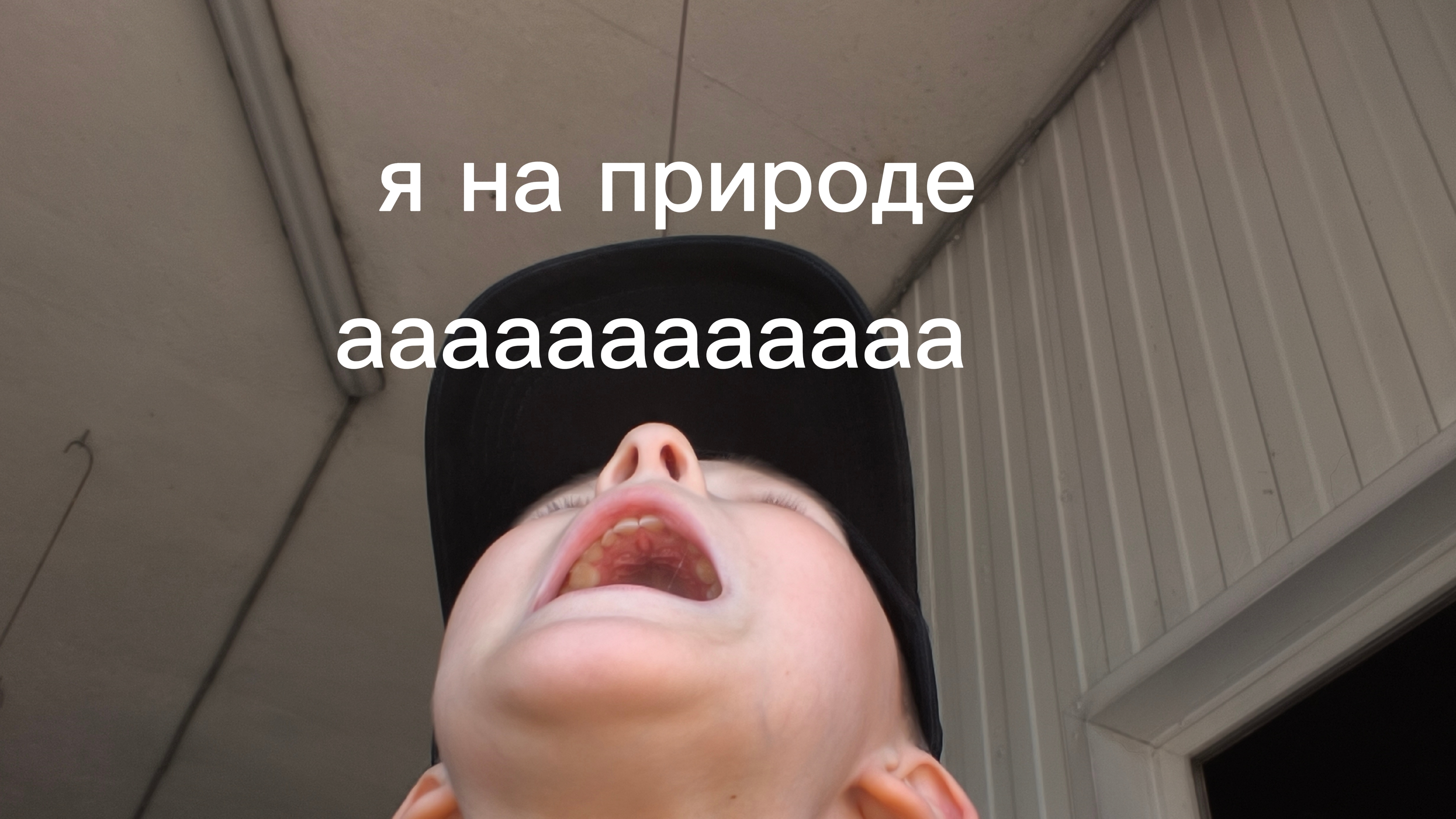 моя собака 🐕🦺🐕🦺 смотреть онлайн