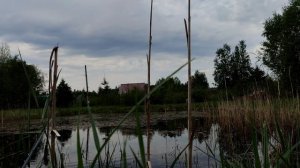 РЫБАЛКА