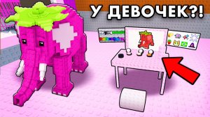 ДЕВЧАЧИЙ СЕРВЕР в Steal a Brainrot — Я В ШОКЕ! 😱