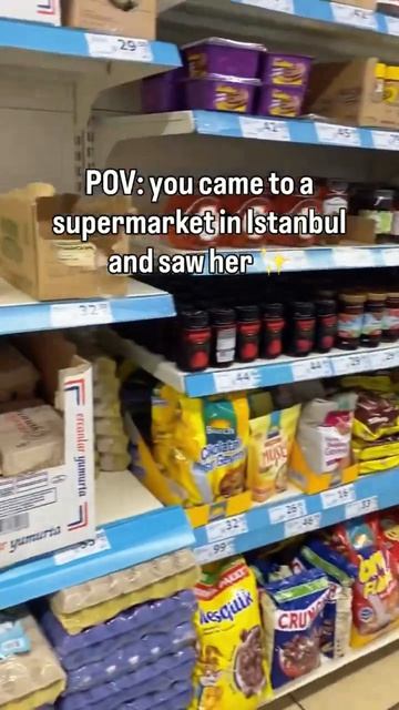 Стамбул рай для котов
