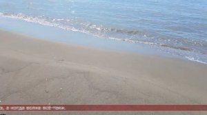 25.05.2026 Сахалинские блоги. МАКСИМ ЧЕРКЕСОВ. Камбала, костёр, море