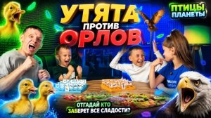 ПТИЦЫ ПЛАНЕТЫ | Утята против Орлов | Кто заберёт все сладости?