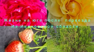 Жизнь на юге после переезда из Ивановской области/ Живём и работаем на Кубани/ Ремонт машины/Блины/