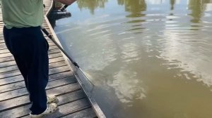 Борется до последнего