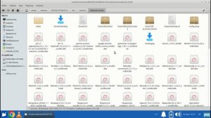 Что такое Xubuntu LTS. Почти переходим к установке Xubuntu на жесткий диск.