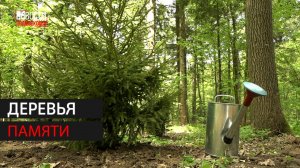 Акция «Сад памяти» стартовала в Одинцовском парке // 360 Одинцово