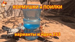 Кормушки и поилки для кур своими руками 253 🪚✂️ Пошаговая инструкция как сделать 🐔 🐓❣️