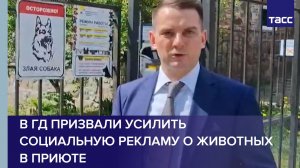 В ГД призвали усилить социальную рекламу о животных в приюте