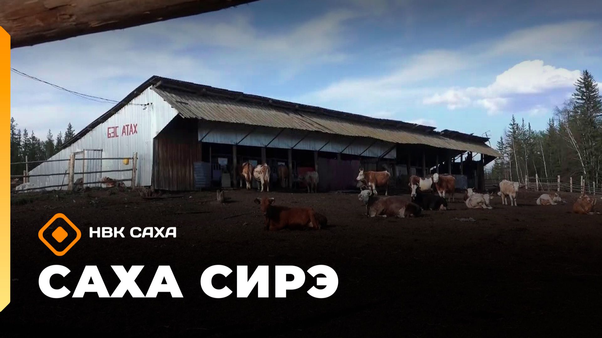 «Саха сирэ» информационнай биэрии. Ыам ыйын 22 күнэ 20.30