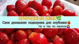 ПОДКОРМКА ДЛЯ КЛУБНИКИ🍓ПРОВЕРЕНО!БУДЕТ РАСТИ МГНОВЕННО💥ЭТО ЕСТЬ У КАЖДОГО В ДОМЕ🏠👀 #подкормка
