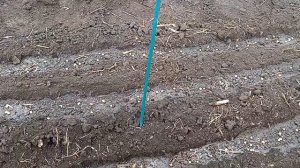 Один день из моей жизни.