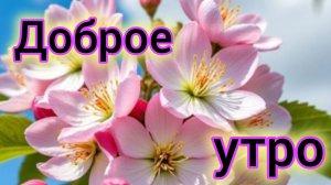 С добрым майским утром. Красивая музыкальная открытка.