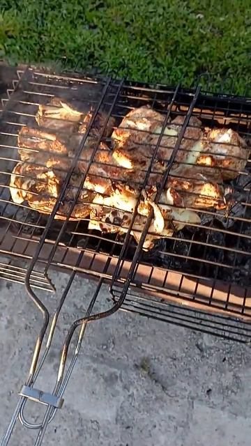 Шашлык 3 Мая🥩🍖🍗🔥