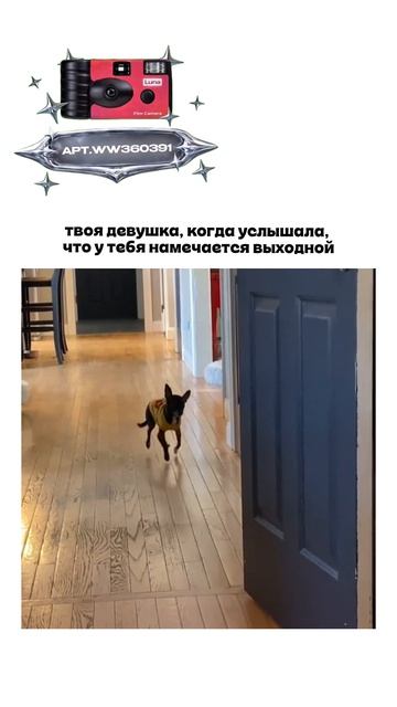 Плёночный фотоаппарат на 36 кадров (Артикул WB: #WW360391)💕