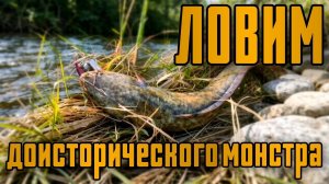 Рыбалка на хищника: ловим судака, щуку, налима! 🎣