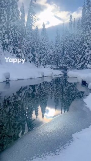 релакс природа