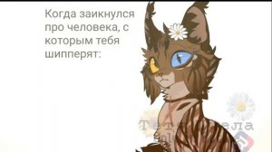 Каждый школьный день так. | Пчелки, кушать.
