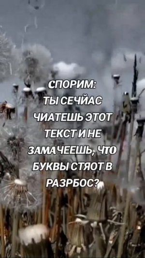 Текст