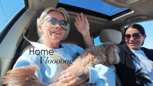 Мы дома🏠Vlog Про перелёт и провоз багажа Подарок от отеля Едем за город за детьми 🐈⬛🐕