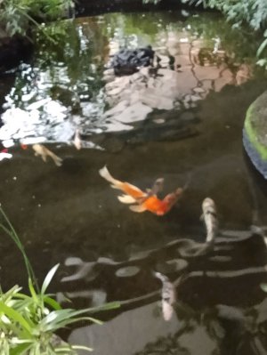 Я в шоке