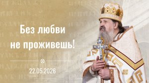 Радуйся, Николае, великий чудотворче. Проповедь о. Андрея Лемешонка 22 мая 2026