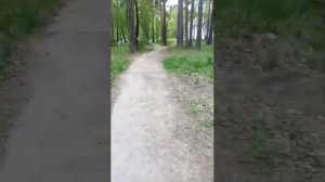 вечерний стрим