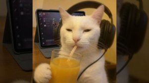 эдит котов:)