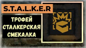 S.T.A.L.K.E.R.2 Сердце Чернобыля Где и как получить трофей «Сталкерская смекалка»