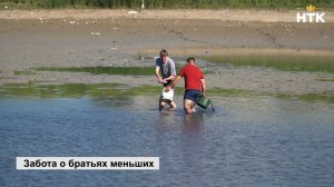 Жители Колонского пруда переехали