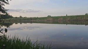 Рыбалка в Рязанской области - река Проня.