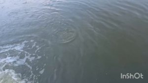 1000150617.mp4