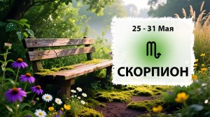 СКОРПИОН ♏ 25 - 31 Мая 2026 | Расклад таро на неделю для знака Зодиака Скорпион