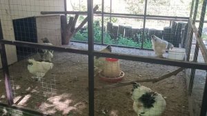 Источник Святая Рука
