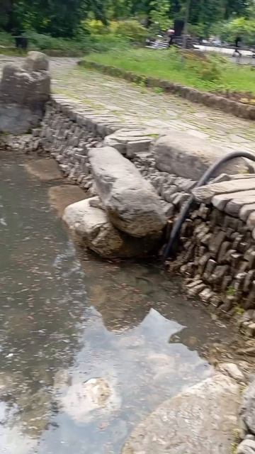 1000025629.mp4