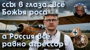 Так кто же агрессор. Мнение либерала из Германии