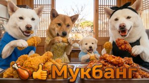 🍗👍 Приготовление жареной курицы и мукбанг. .